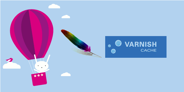 ¿QUÉ ES VARNISH CACHE?