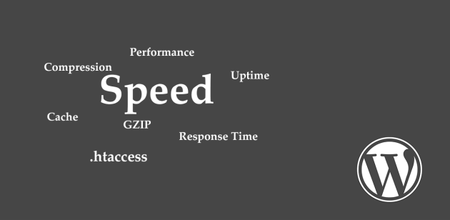 Habilitar compresión GZIP en WordPress